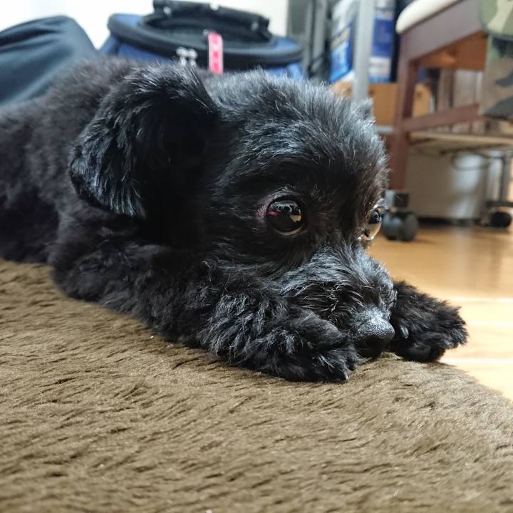 D89b998b 61a7 482b 937d daeaa1ca925c 1526380743492