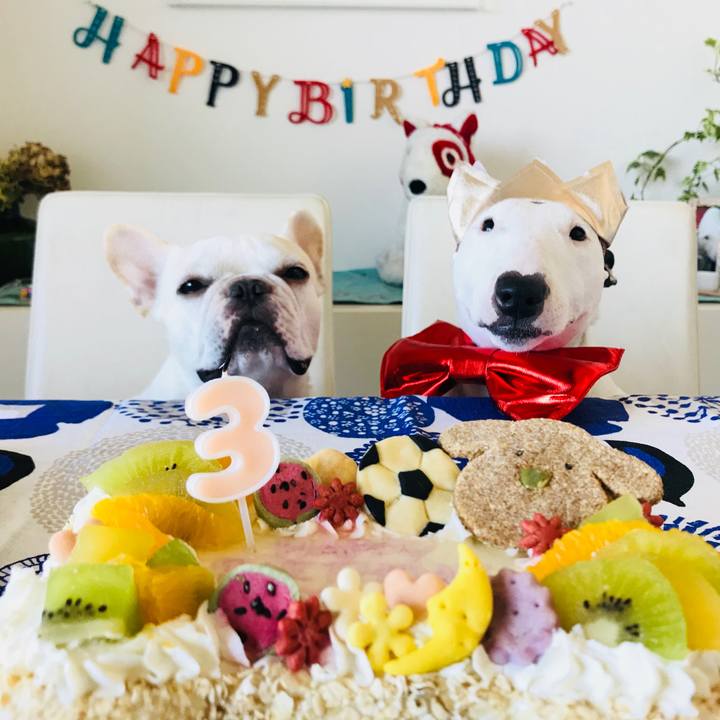 D89bd353 a79d 411a a91d 04a77dbfa126 1534990103932