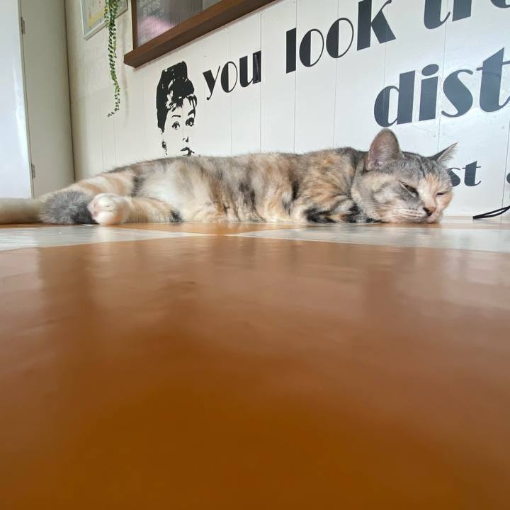 D89be4cc 093d 4cb4 b108 8bb7a08587aa 1694829334785