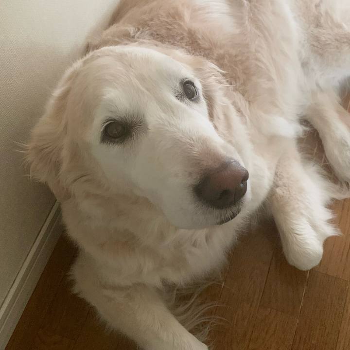 D89bf398 b13d 4ea7 a09e abacd0409e7b 1683501784863