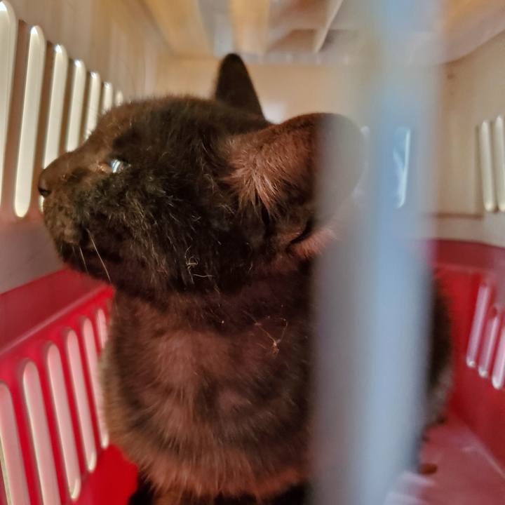 D89c63d4 db0a 4541 a422 d2bcfb1a843e 1719933071274