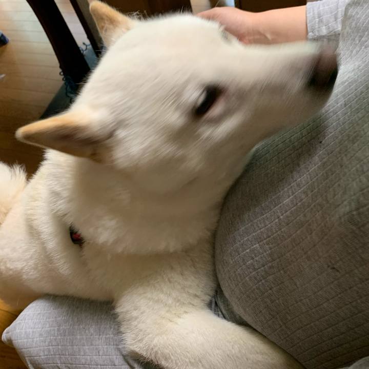 D89c9647 b99e 4544 8eea 3d6d8d50fac2 1598653759249