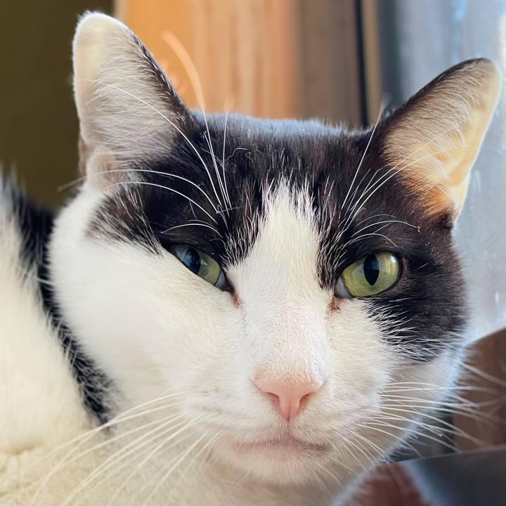 D89caac9 3f46 4faa a826 78349d0ce69a 1638842127755