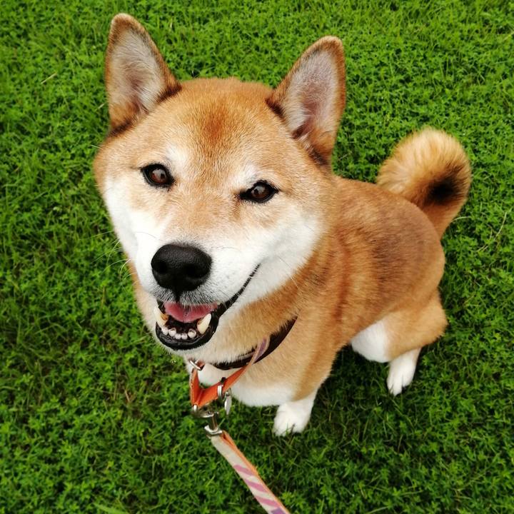 D89cd02c acbb 4038 8337 4fb92e97f561 1630736645618