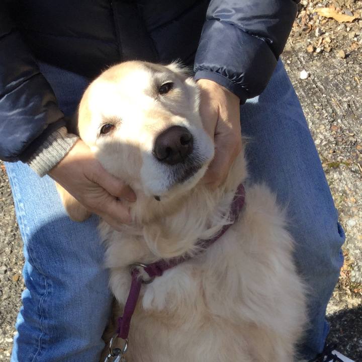 D89cdf0f fdff 44c3 a899 2c6a34c26e6e 1514880878754