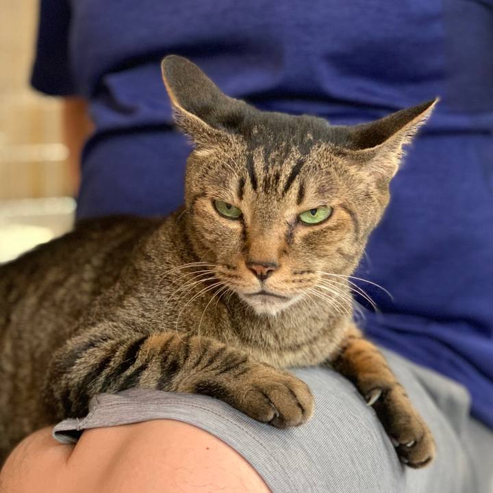 D89cfaec 7ff0 48de 8892 a6c7c4ff118a 1566258560768