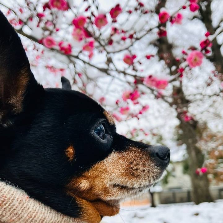 D89d20f4 0b8e 4284 bb8c 600883a1a26a 1770591947522