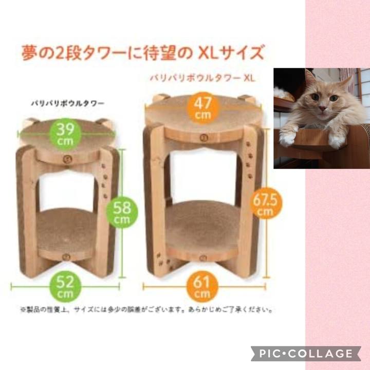 D89d3641 c333 440e b9ef e13fbf6f6f6a 1650959409111