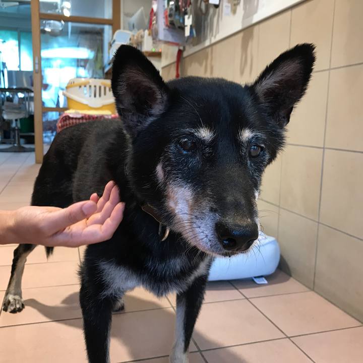 D89d8158 f832 48d5 9299 72122f697e4f 1531314880493