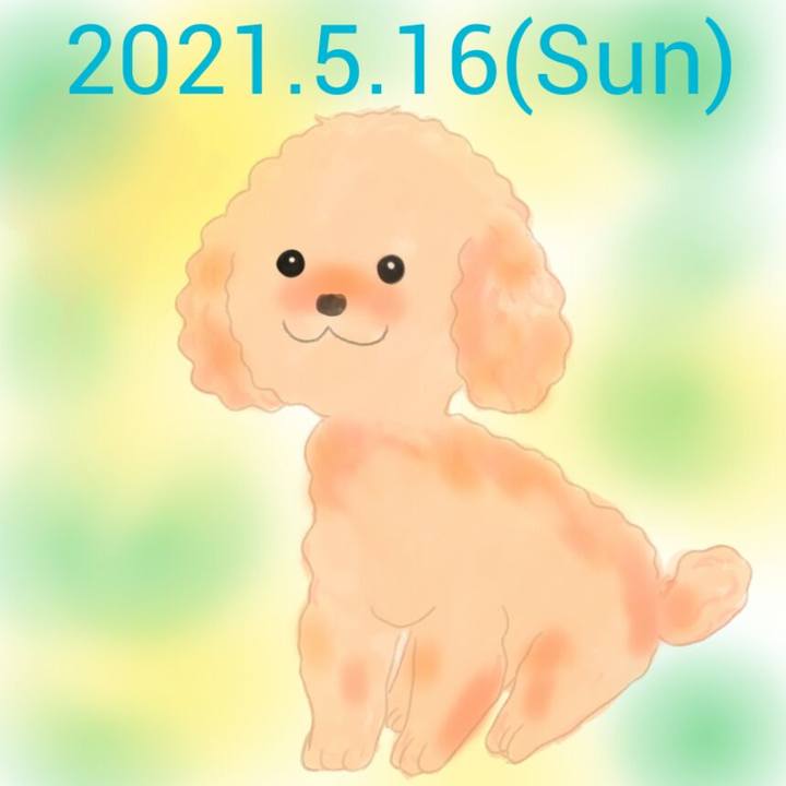 D89d9dee 4bf4 447e 8e35 7f8ca8c5e705 1621147947776