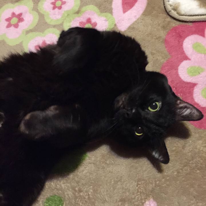 D89da0a9 6859 4b35 b8a5 079b343a4387 1515850130663