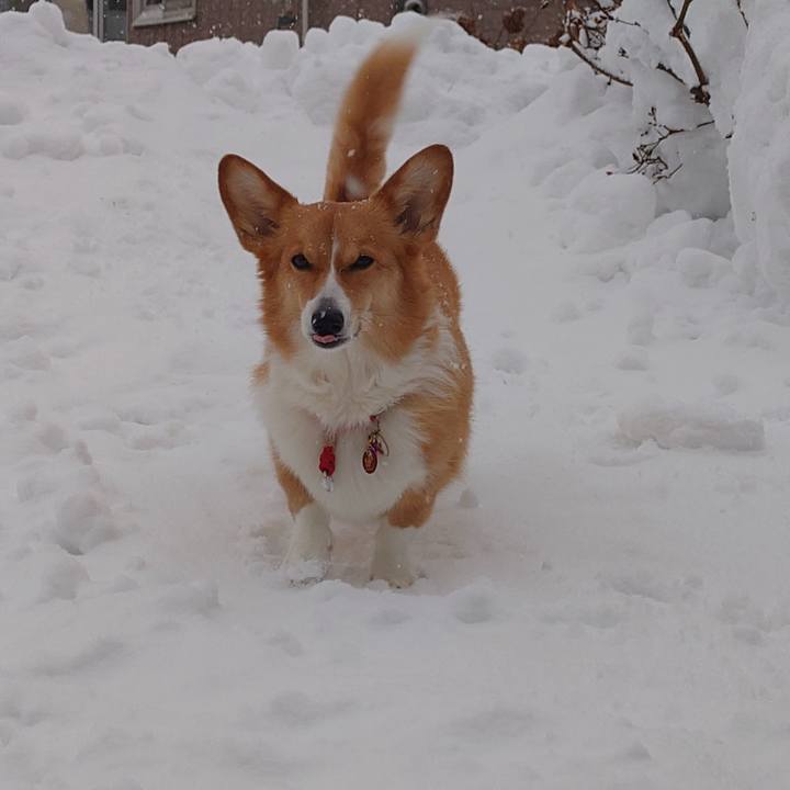 D89dd0ed 838d 4214 821e d552e739a733 1765720493402