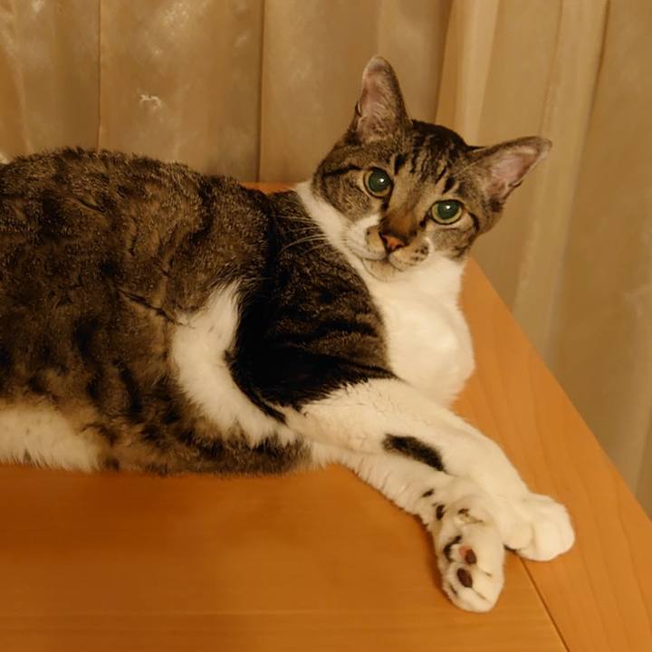 D89dd878 25df 483c 9565 8921b27a7ccc 1729260255809