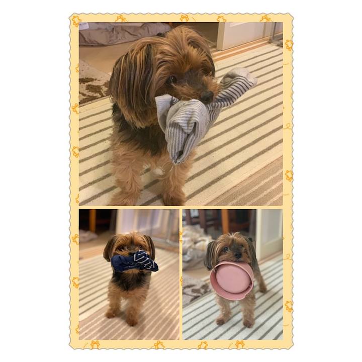 D89df236 3a8c 425e b133 be2b29c06737 1618564924014