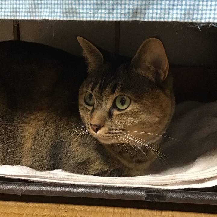 D89e14c1 593b 48e8 bc32 99227577d871 1668085810475