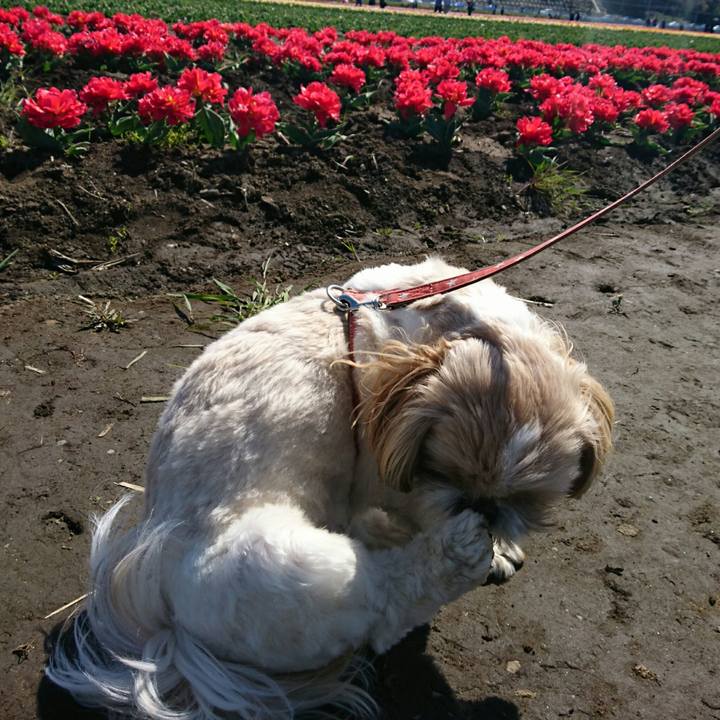 D89ea116 62c5 4c43 bb9b 1e86a49ba04c 1555142673041