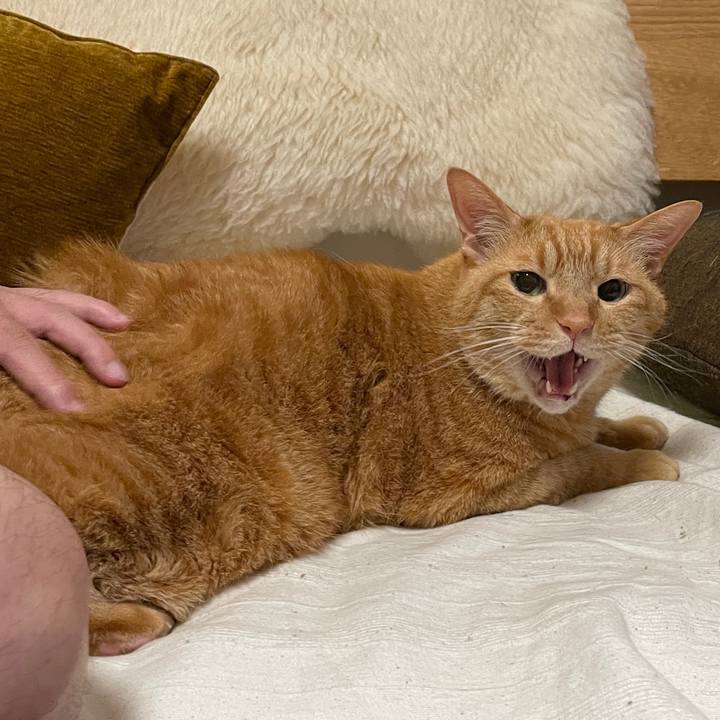 D89ef04a defd 4b36 a84a 48767bbb808e 1722223240484