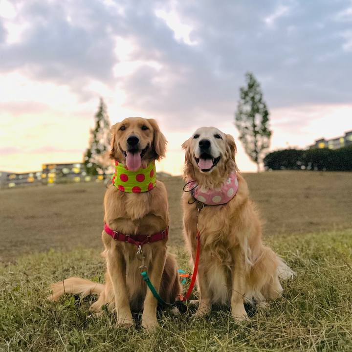 D89ef1f4 1111 4b9f b21a f8c0fb26353a 1751952077338