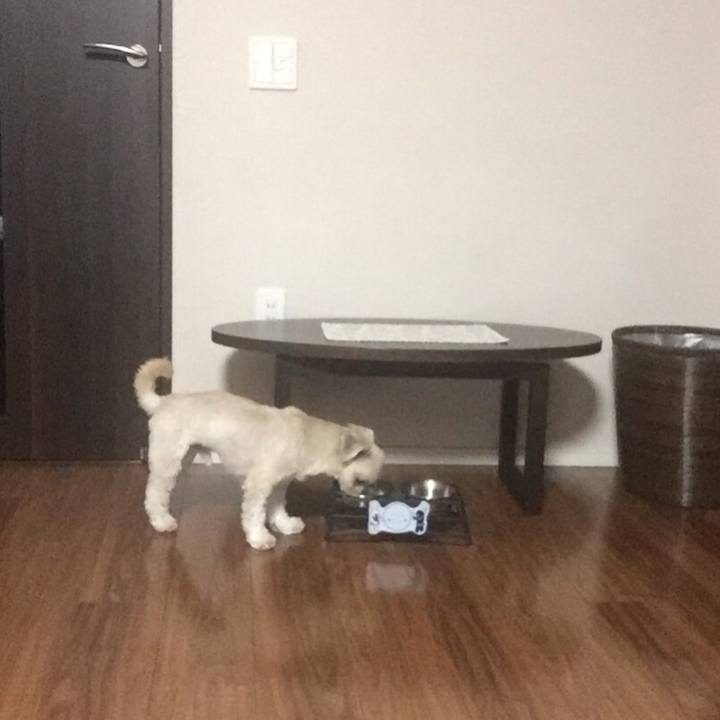 D89f31b8 b84c 48d1 8c4e a44548fe46ea 1536061429198