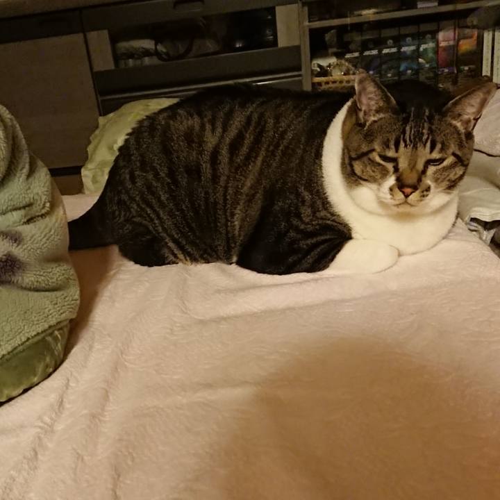 D89f3913 66ab 4809 8a31 621fdffaabb3 1538399899279