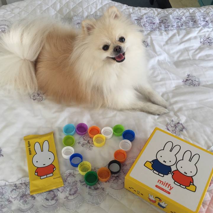 D89f56a0 f2c8 4591 8b5e 99430821df36 1541390852812