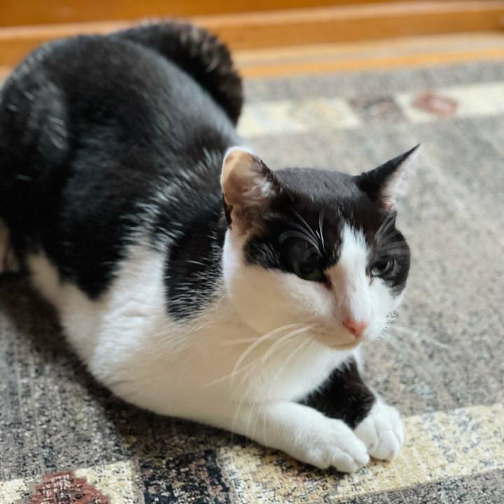 D89f7d58 c46c 4312 90ab 35d057abeecd 1629600497243