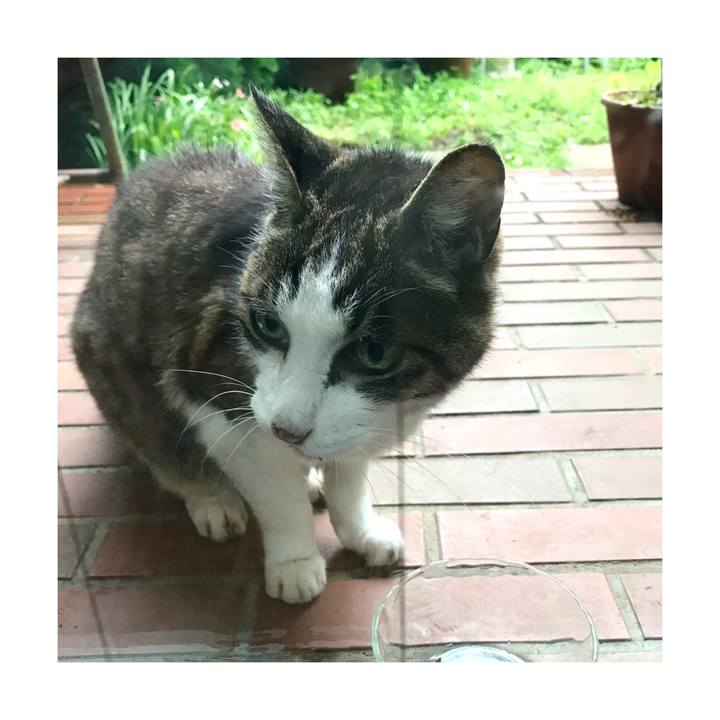 D89fb80e 651f 45b6 aa09 2fa012c9c3f2 1624496240046