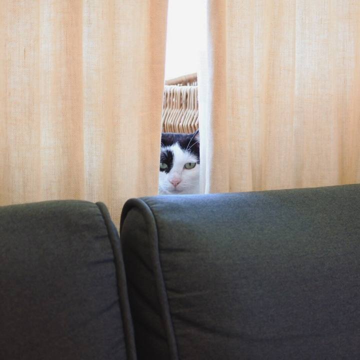 D89fc1d6 0b25 498f bb79 3e9f3ca49adf 1565271676243