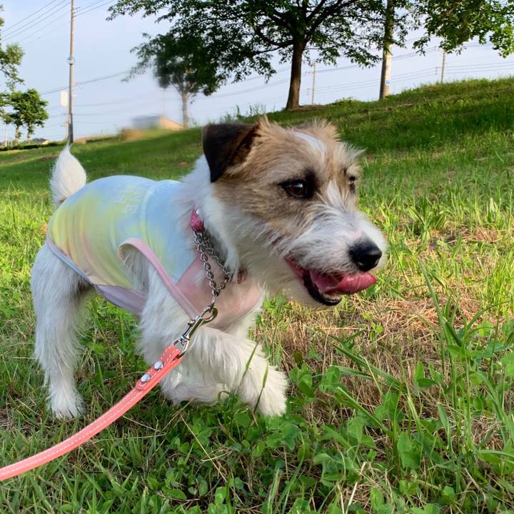 D89fc39f a2bf 421c bfe6 59ffe86cfb6d 1591350517867