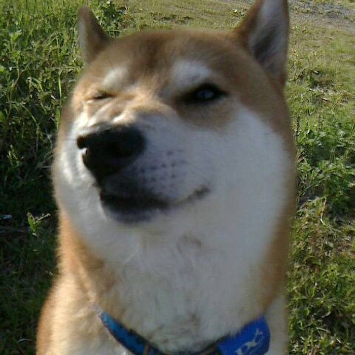 D89fdba2 b4a6 4f13 b052 032a62a802d7 1523937072415