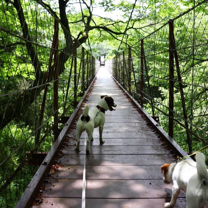 D89fe4e7 d3db 4dff a651 b18cd241909d 1558159067380