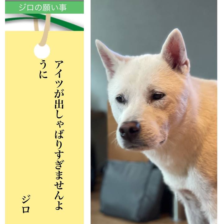 D89ffa02 e311 4310 a080 4b663a47ca90 1688687091144