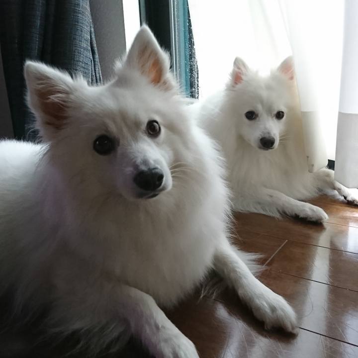 D8a044b4 3efb 4e23 b49a 398008b061c6 1593488772437