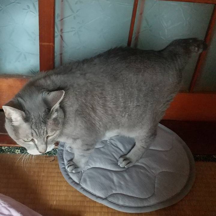 D8a04b2f 468a 464f 872b 4d3a84534b05 1665885721604