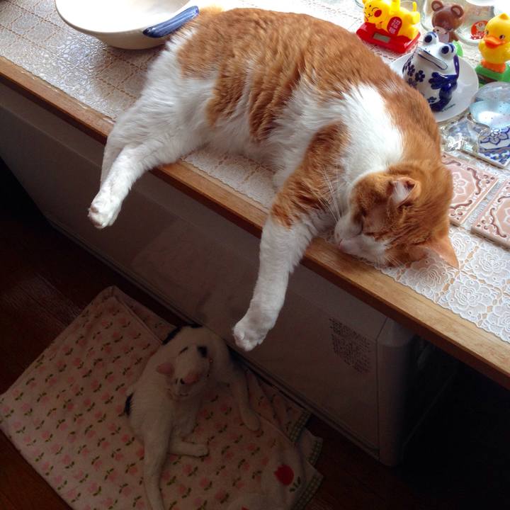 D8a04c4e bdc2 4f17 9a01 a72dfe78c885 1514695562884