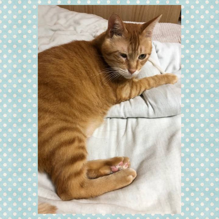 D8a067ea e74d 4706 886f 6896021f6dc8 1599831823125