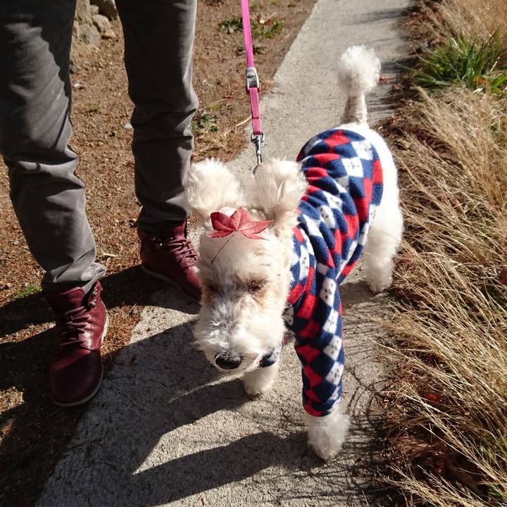 D8a06cbb 88a5 480d 8c39 84c25689316c 1510451676032