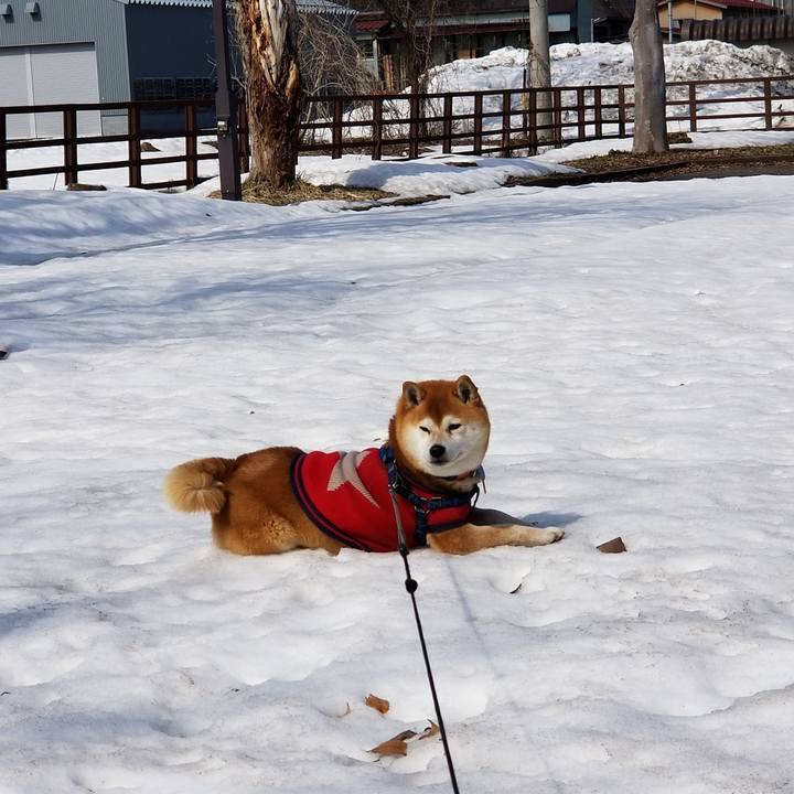 D8a08c19 72cd 4dc5 803c 42cff5c658a0 1552365522311