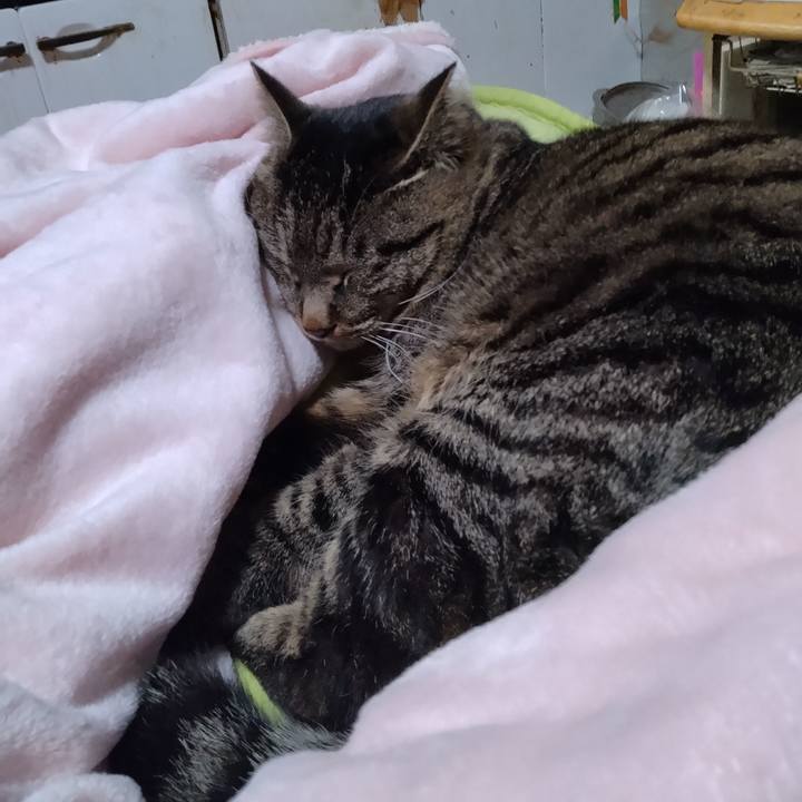 D8a0afff cfa6 4bd7 bf48 221409e5a3a7 1676807813930