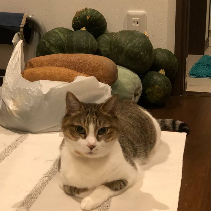 D8a0b583 3c27 4ff3 b0e5 02ffb69aed70 1536831350397