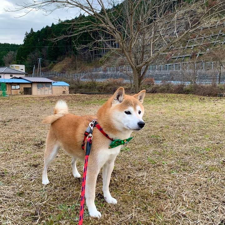 D8a0bbb6 43ea 46a4 8c9d 611f40f23da3 1672046284260