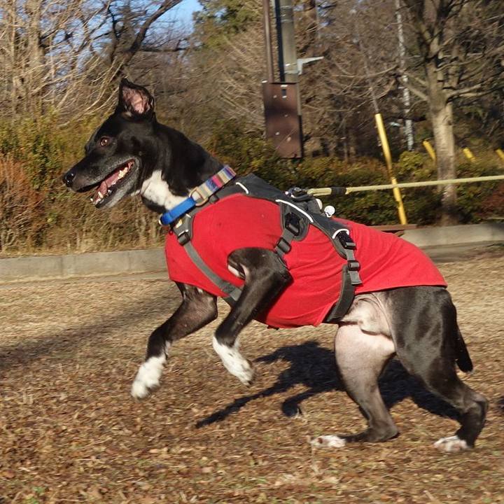 D8a0cfa3 738c 4706 b24a 7de804862df5 1642123388447