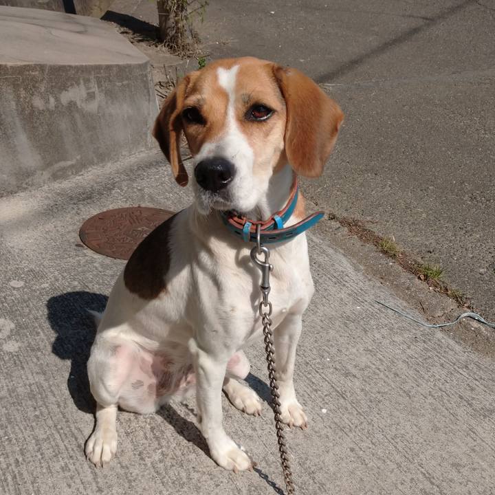 D8a0d5d5 3417 47ea 9604 80f5317bbcf1 1603166049054