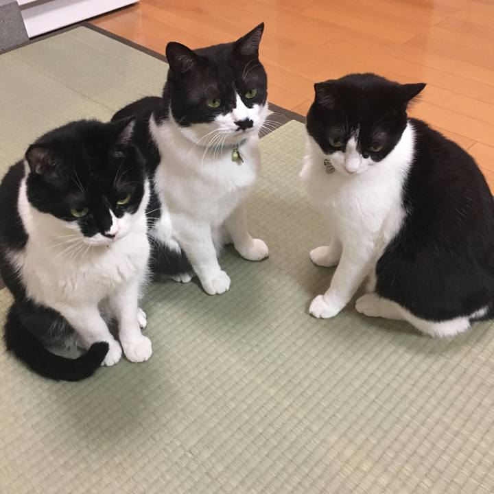 D8a10d6f 2d5c 43da 9916 6607933b3b2d 1514462696542