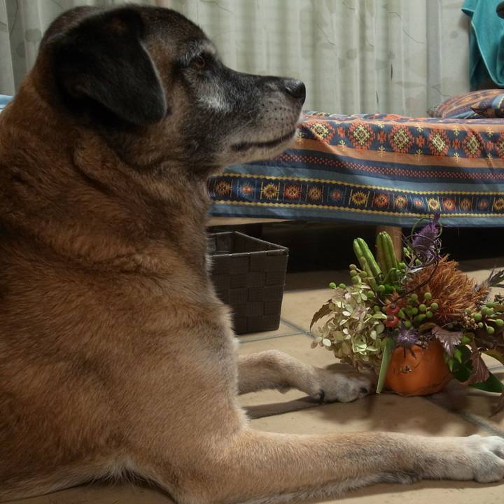 D8a114f0 1967 42e2 a4a1 02e8d8c24ecc 1591575522910