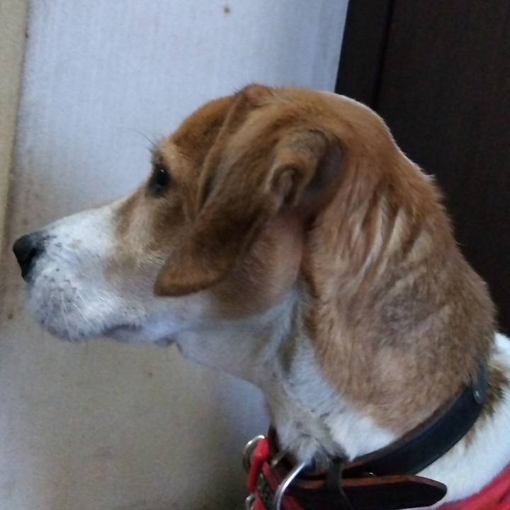 D8a11bfc e8ae 47e7 8057 9c30f512c6c4 1704772755111