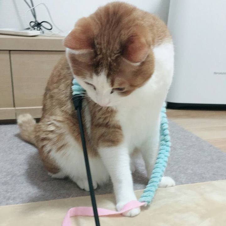 D8a11c43 7055 4b35 a86f cb5e71960408 1515070684803