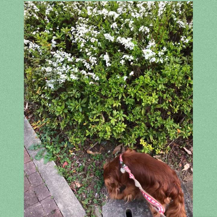 D8a12465 12d0 4d55 8b59 78d9879df6de 1585173560341