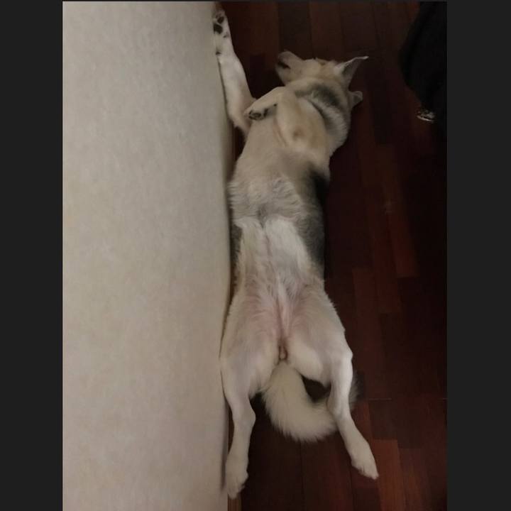 D8a17fdd 8d7e 45f9 89e4 2499094a71b2 1559307559038