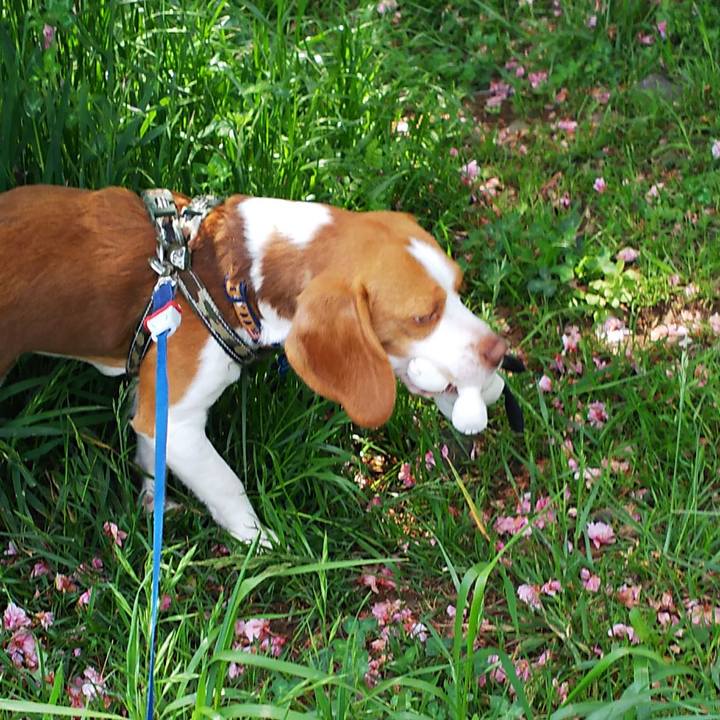 D8a186bf 5ade 4157 b5b3 28f0c06c1087 1556938460337